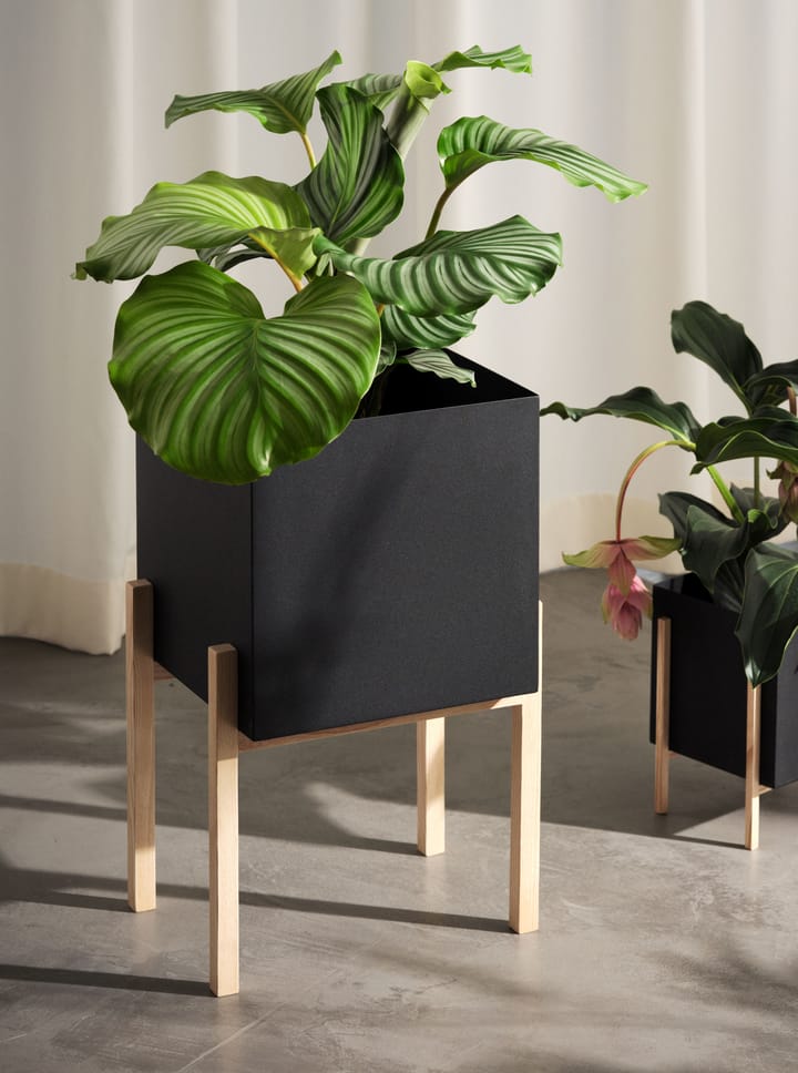 Botanic pedestal flower pot, Black-box Design House Stockholm
