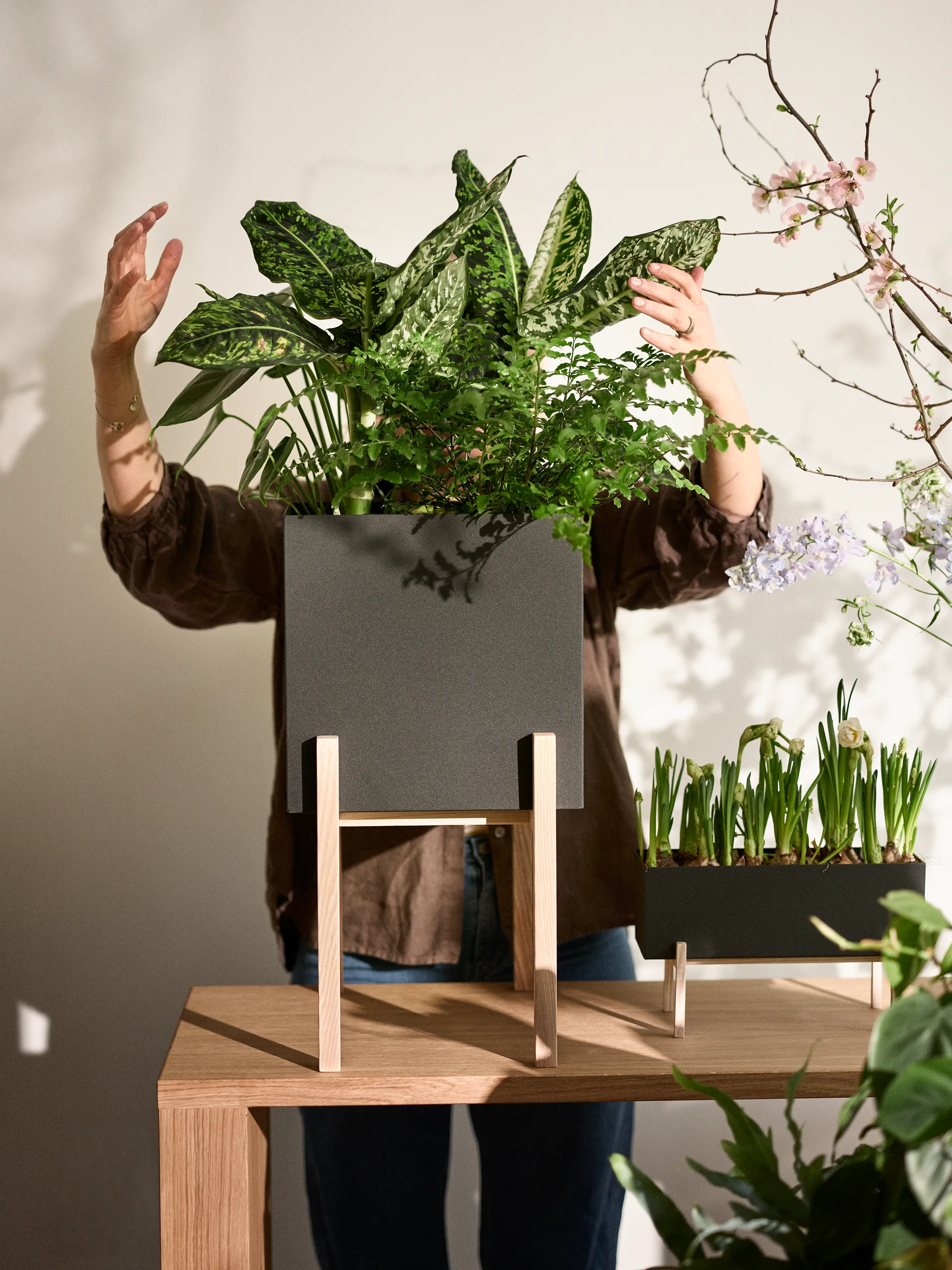 Botanic pedestal flower pot, Black-box Design House Stockholm