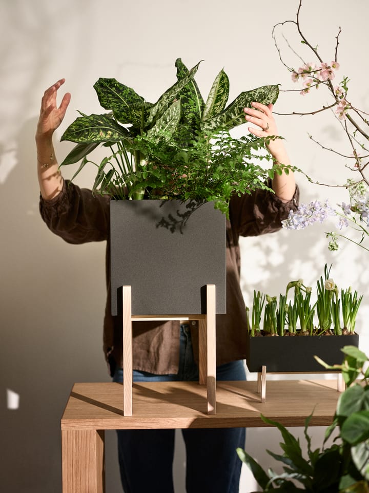 Botanic pedestal flower pot, Black-box Design House Stockholm