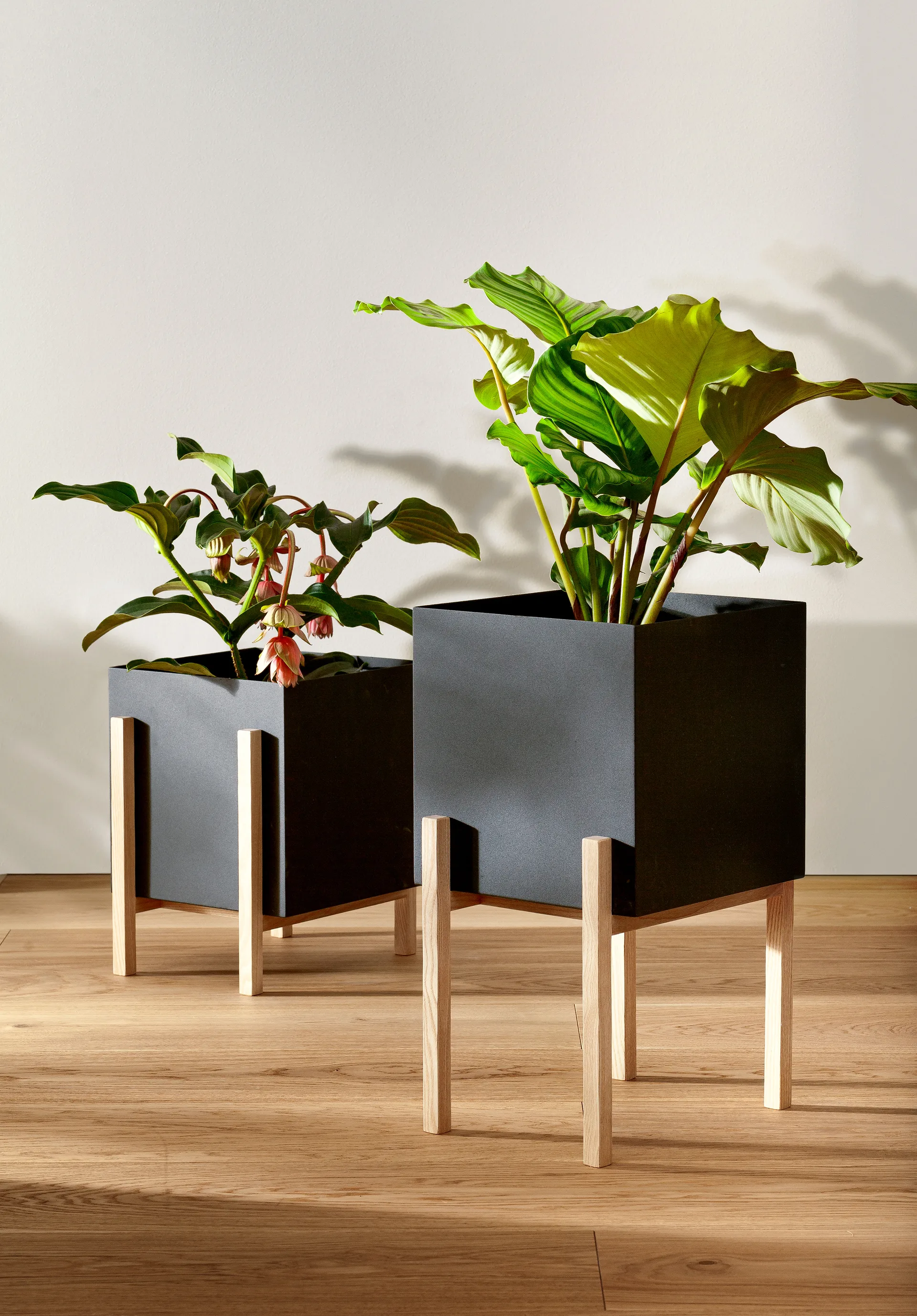 Botanic pedestal flower pot, Black-box Design House Stockholm