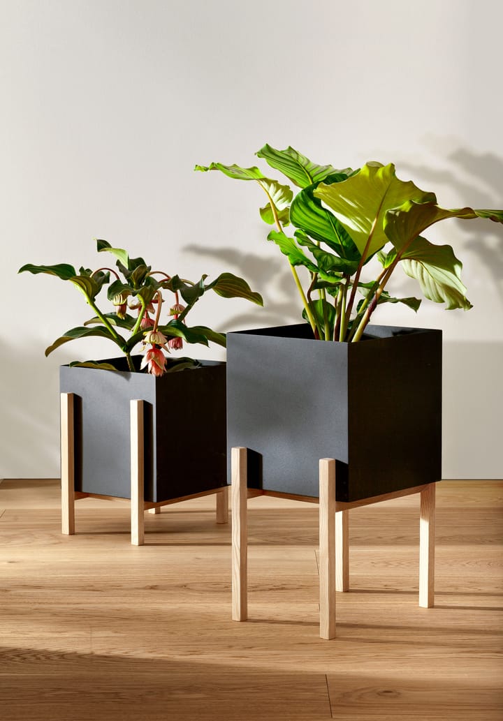 Botanic pedestal flower pot, Black-box Design House Stockholm