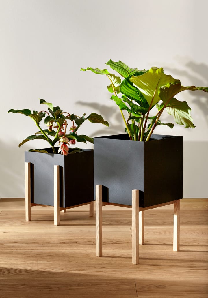 Botanic pedestal flower pot - Black-box - Design House Stockholm