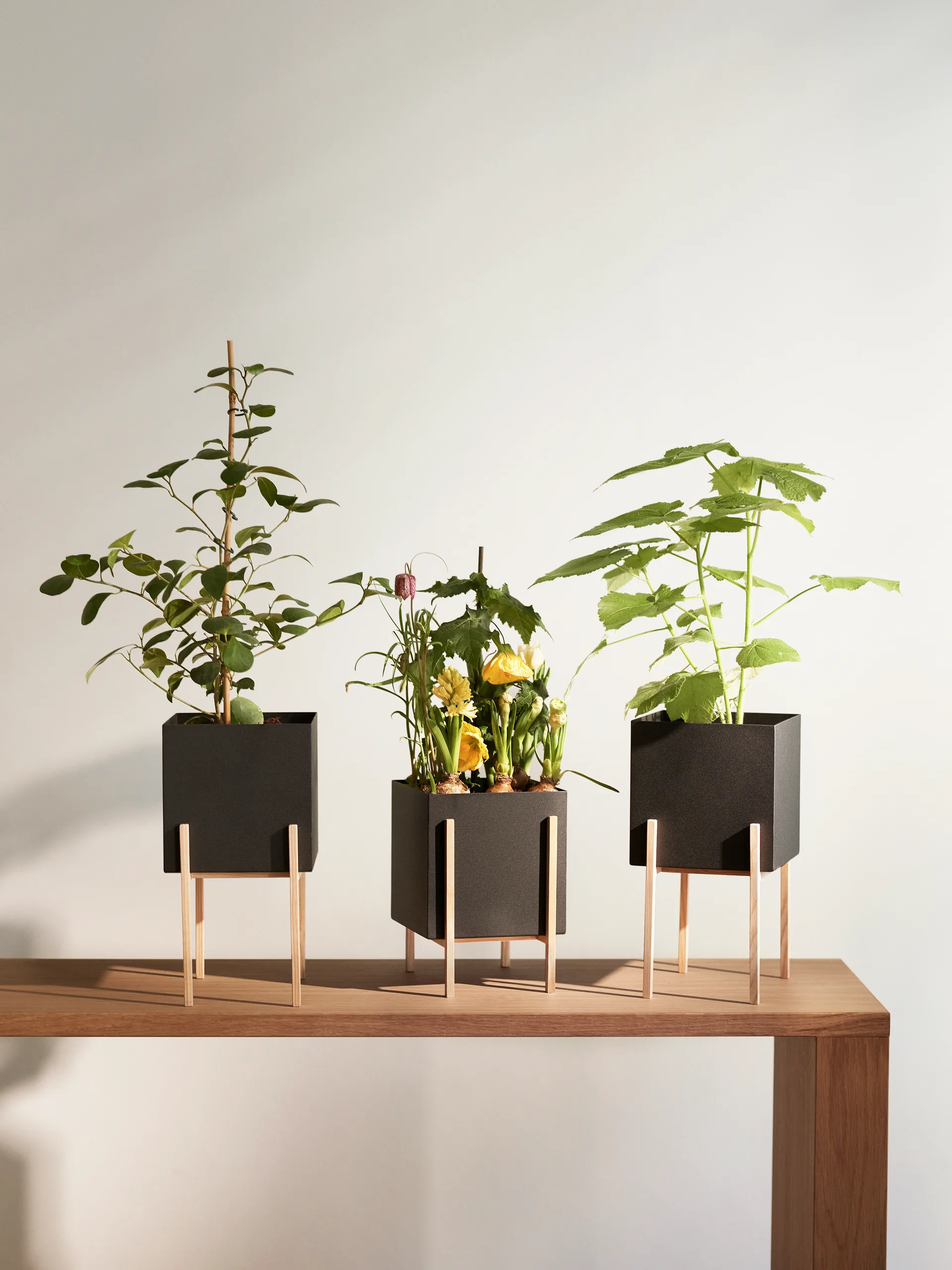 Botanic pedestal flower pot, Black-box Design House Stockholm