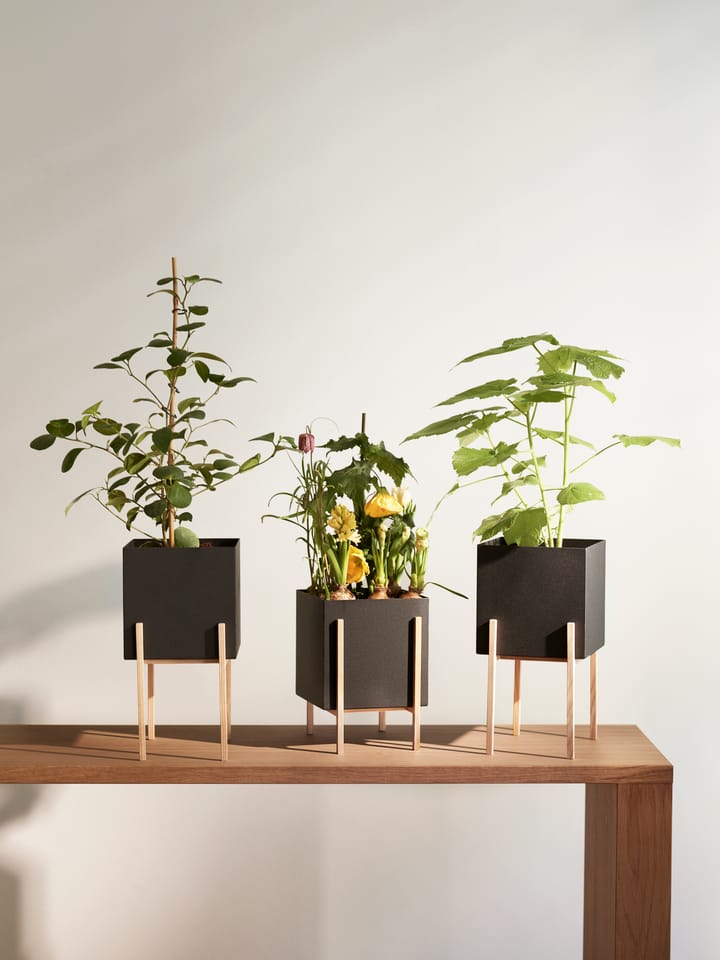Botanic pedestal flower pot, Black-box Design House Stockholm
