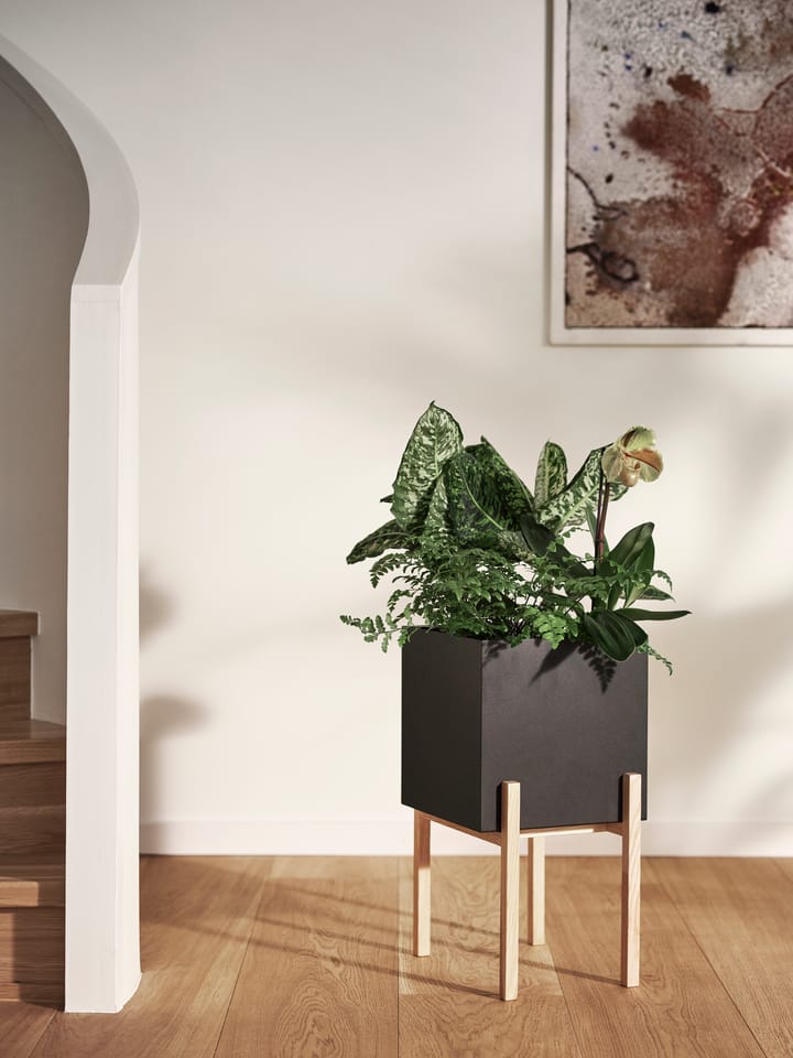 Botanic pedestal flower pot, Black-box Design House Stockholm