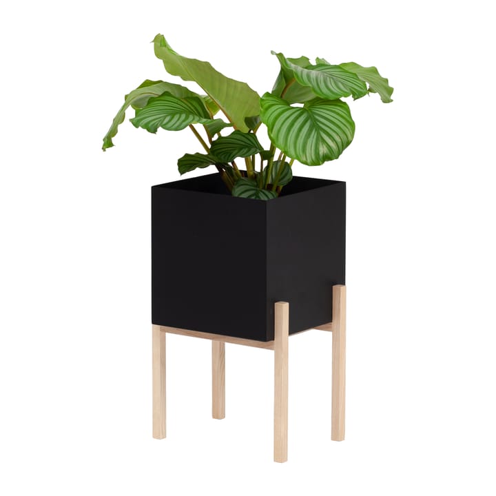 Botanic pedestal flower pot - Black-box - Design House Stockholm