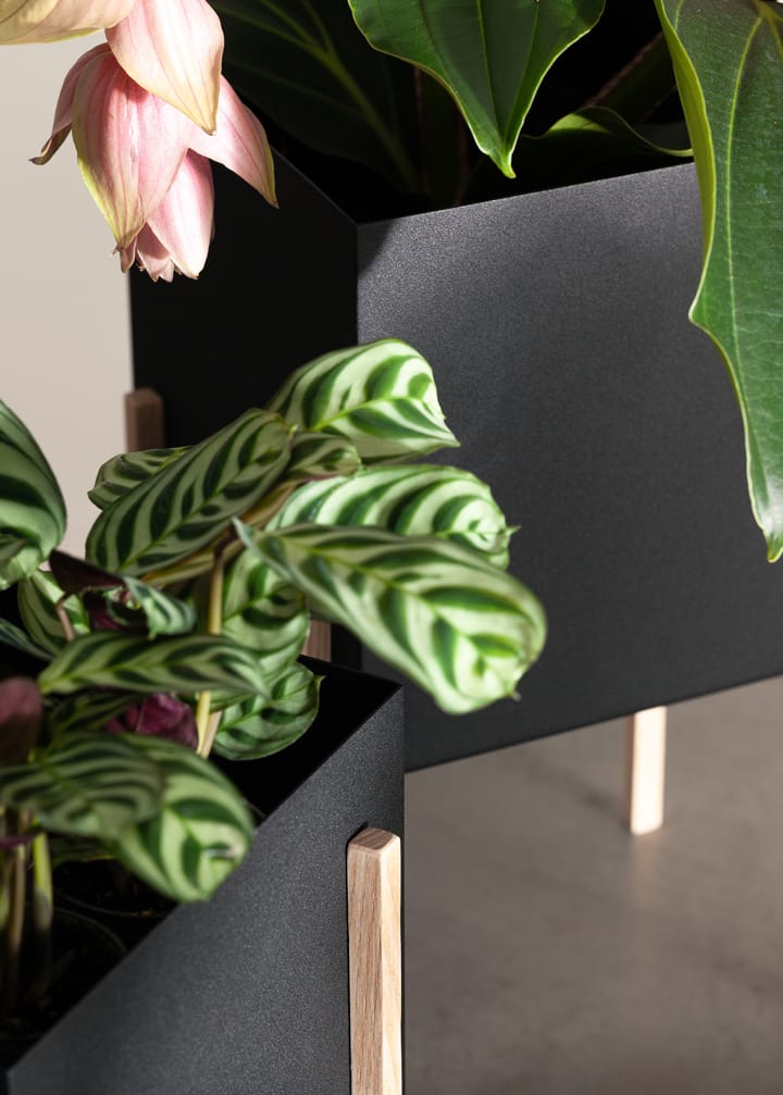 Botanic pot flower pot, Black-box Design House Stockholm