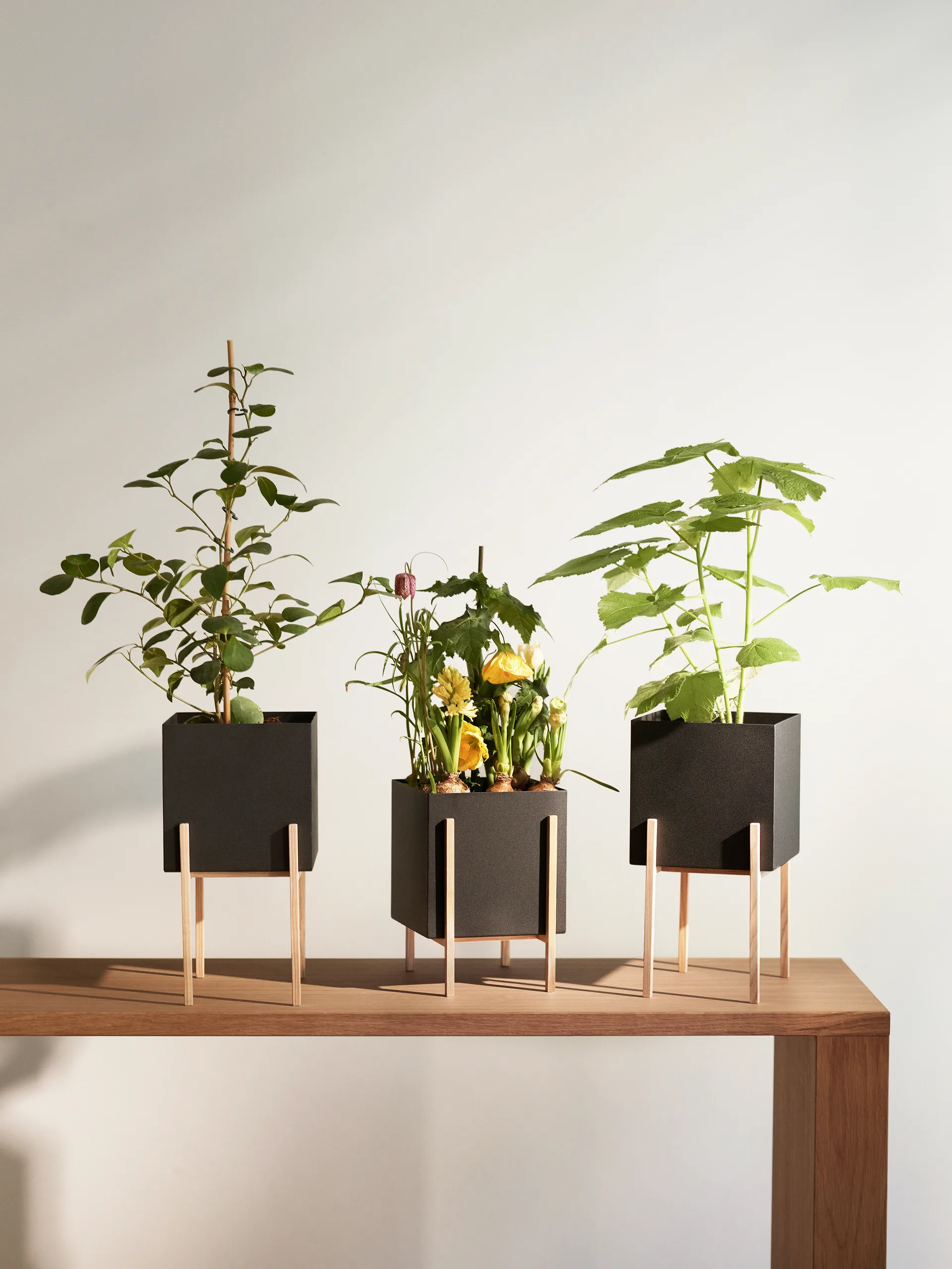 Botanic pot flower pot, Black-box Design House Stockholm