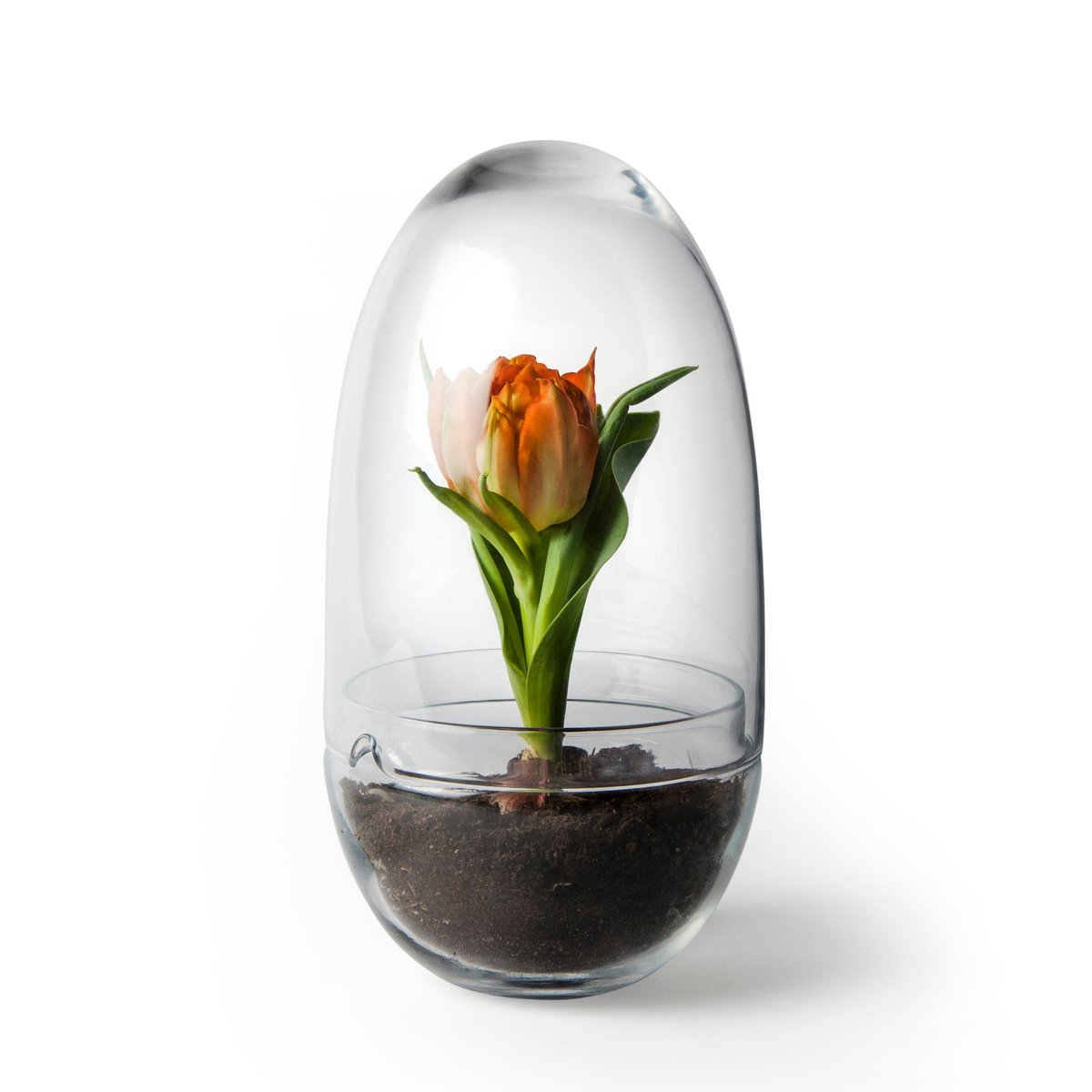 Design House Stockholm Grow greenhouse Medium o11 cm