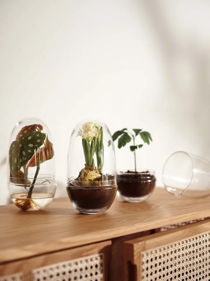 Grow greenhouse from Design House Stockholm - NordicNest.com