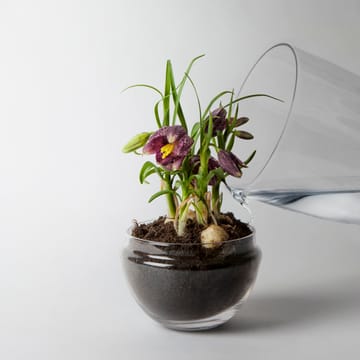 Grow greenhouse - Medium - Design House Stockholm