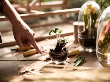 Grow greenhouse - small Ø8 cm - Design House Stockholm