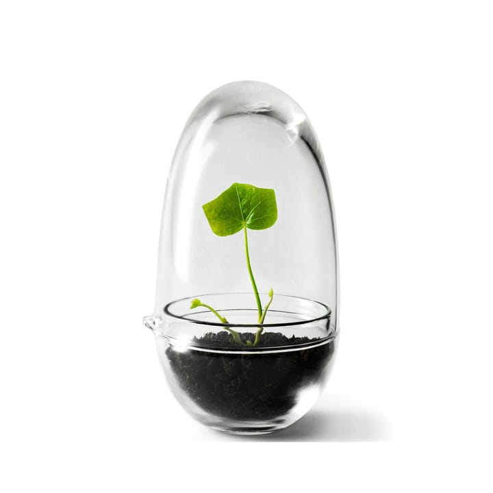 Grow greenhouse - small Ø8 cm - Design House Stockholm