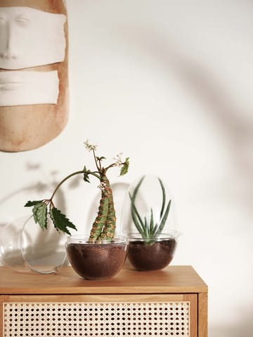 Grow greenhouse - x-large Ø20 cm - Design House Stockholm