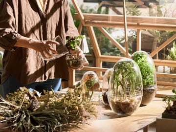 Grow greenhouse - x-large Ø20 cm - Design House Stockholm