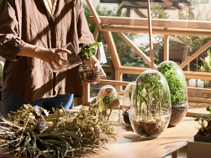 Grow greenhouse, x-large Ø20 cm Design House Stockholm