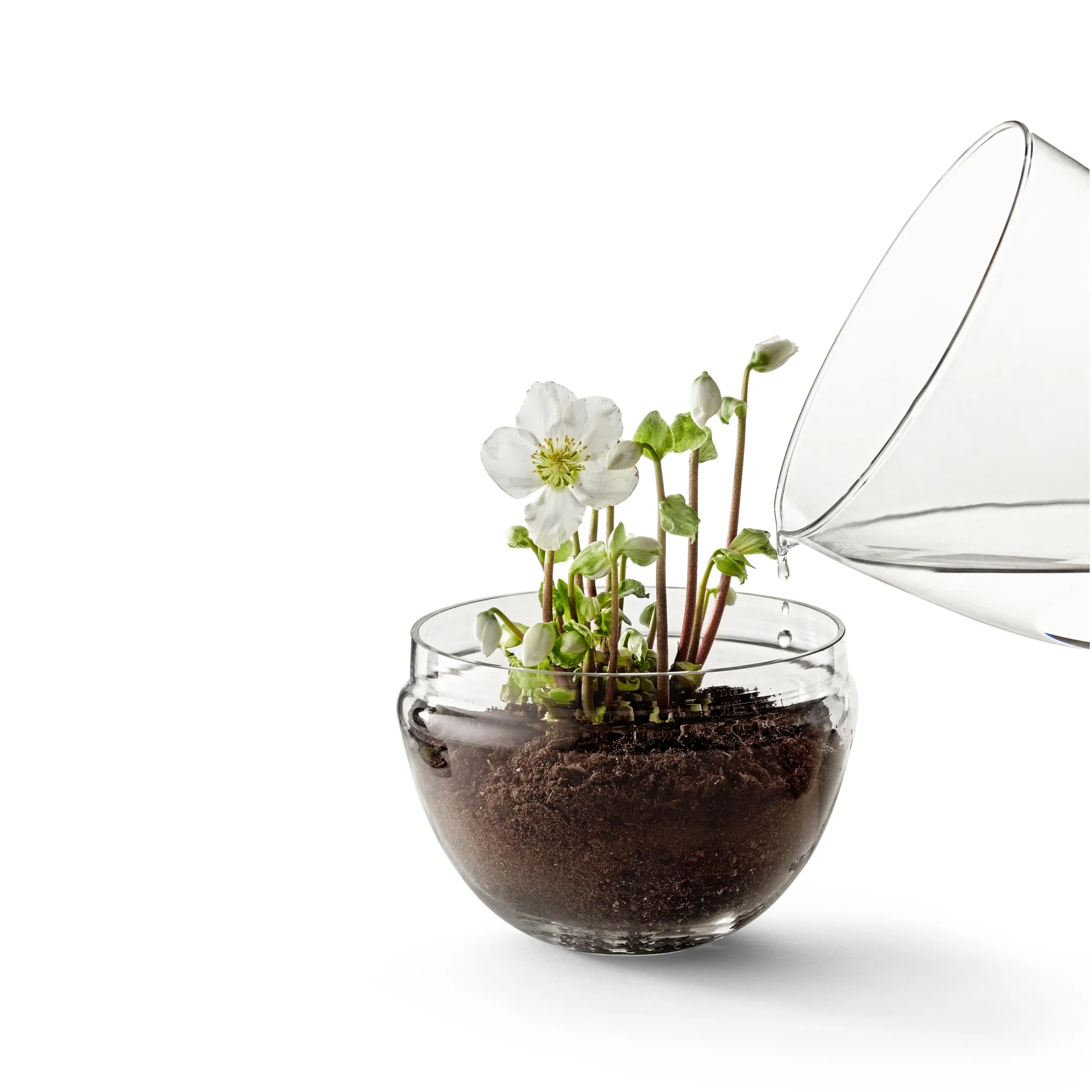 Grow greenhouse, x-large Ø20 cm Design House Stockholm