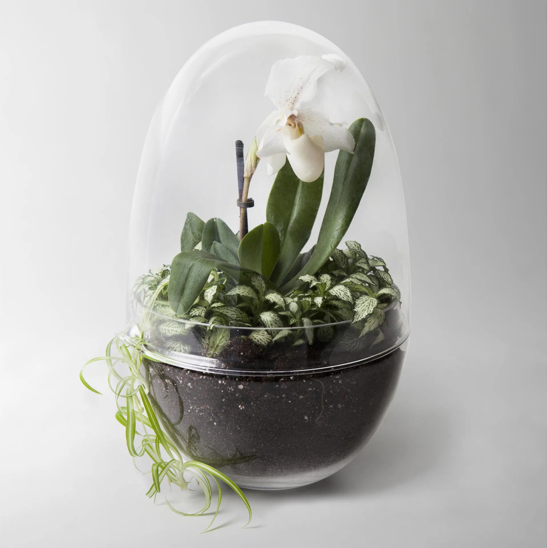 Grow greenhouse, x-large Ø20 cm Design House Stockholm
