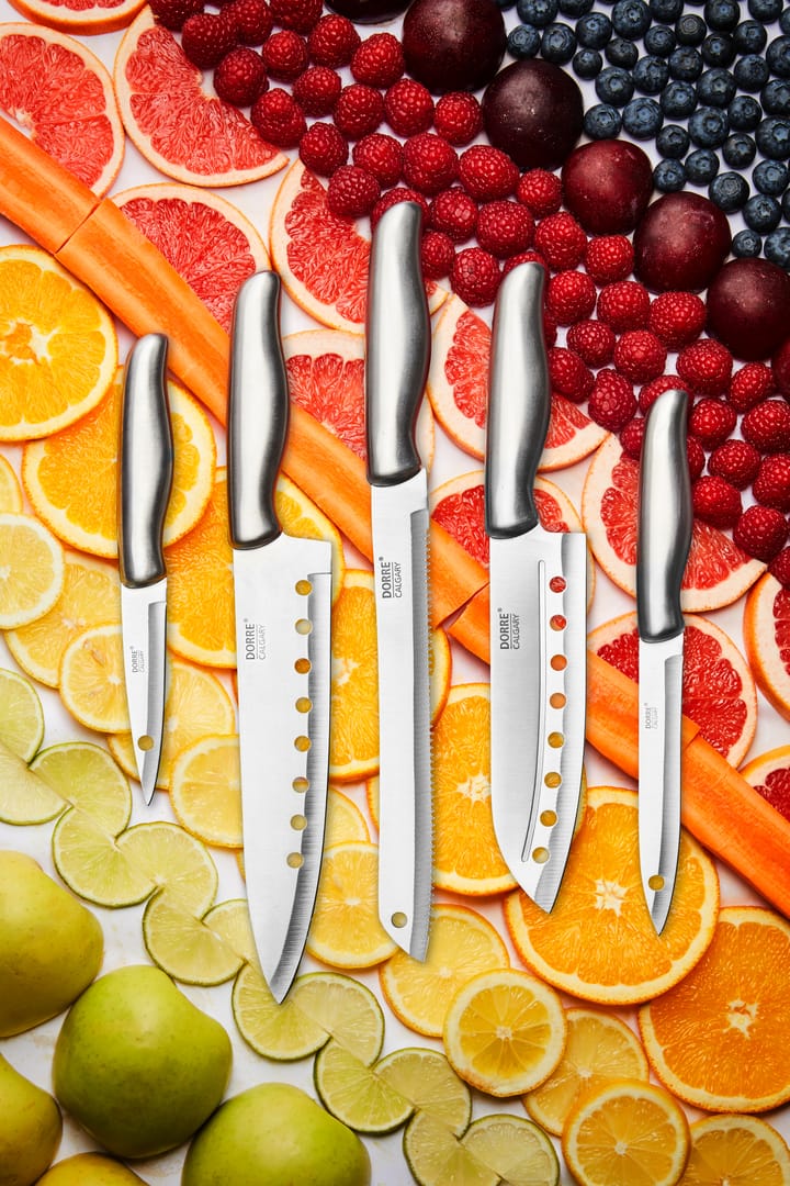 Calgary knife set 5 pieces - Stainless steel - Dorre