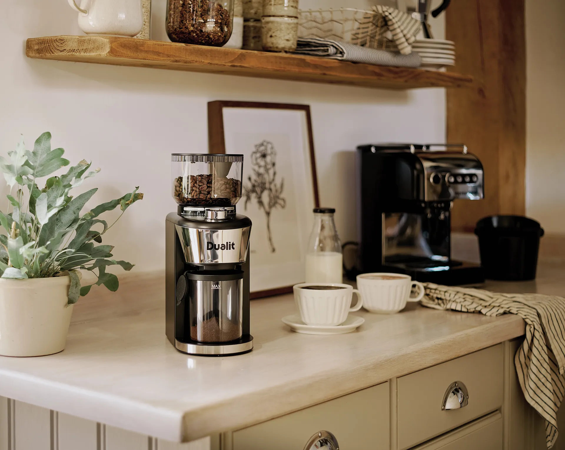 Dualit coffee grinder 31 cm, Black Dualit