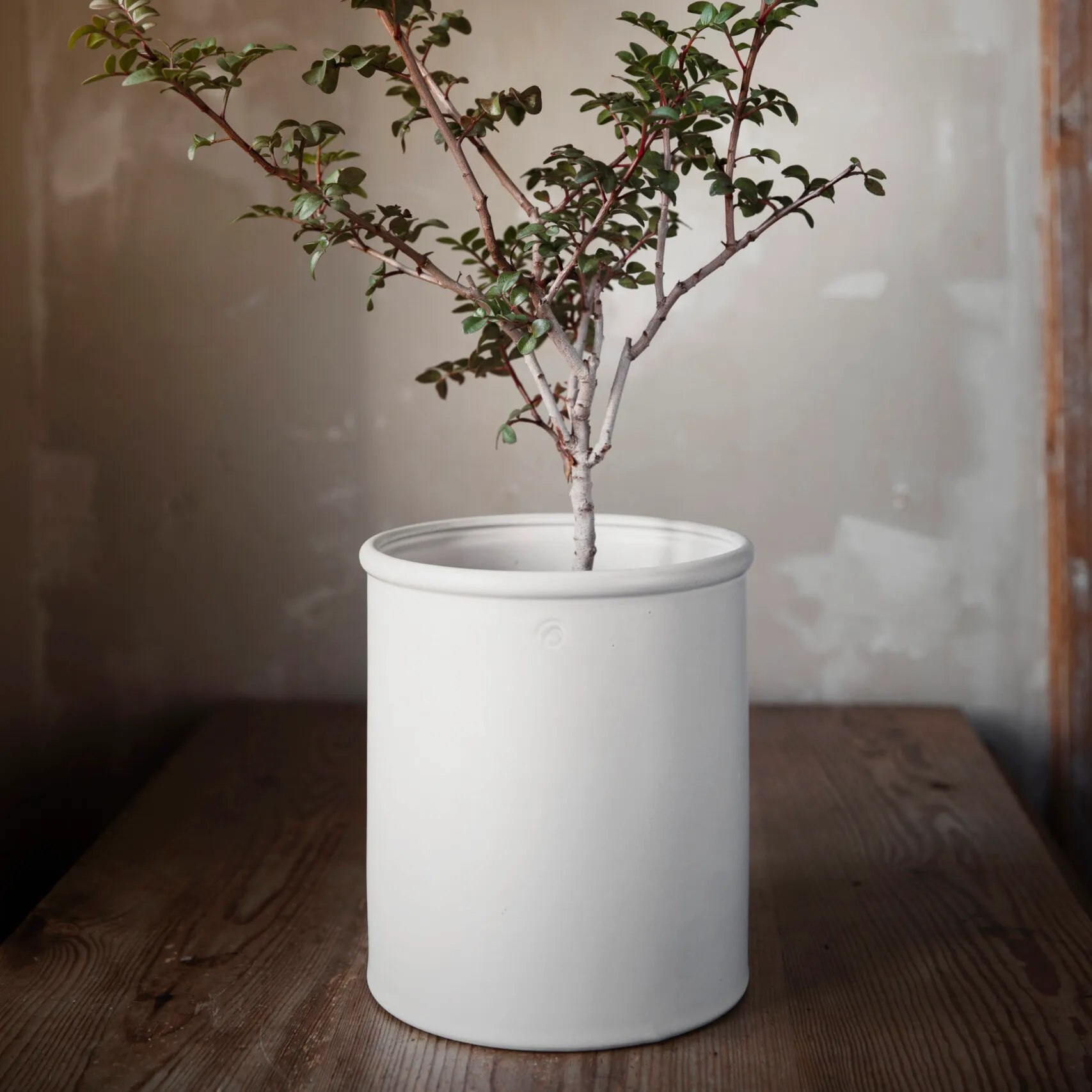 Ernst flower pot with white edge, 20.5 cm ERNST