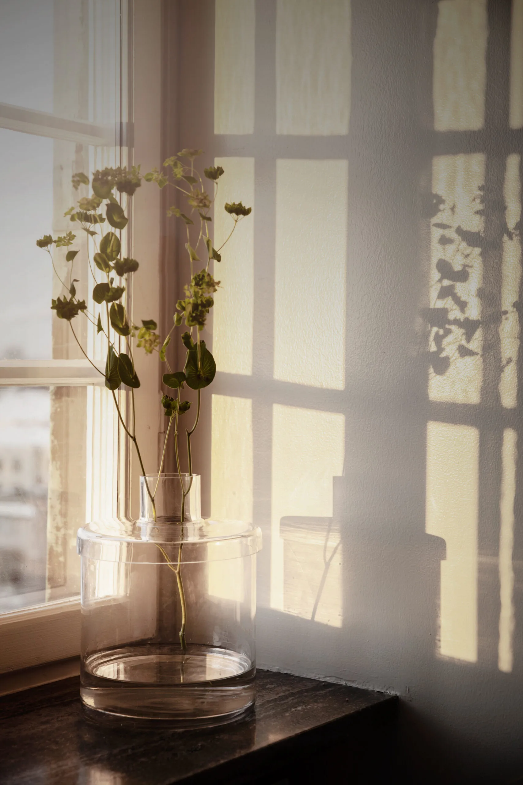 Ernst glass vase clear, Ø20.8 cm ERNST