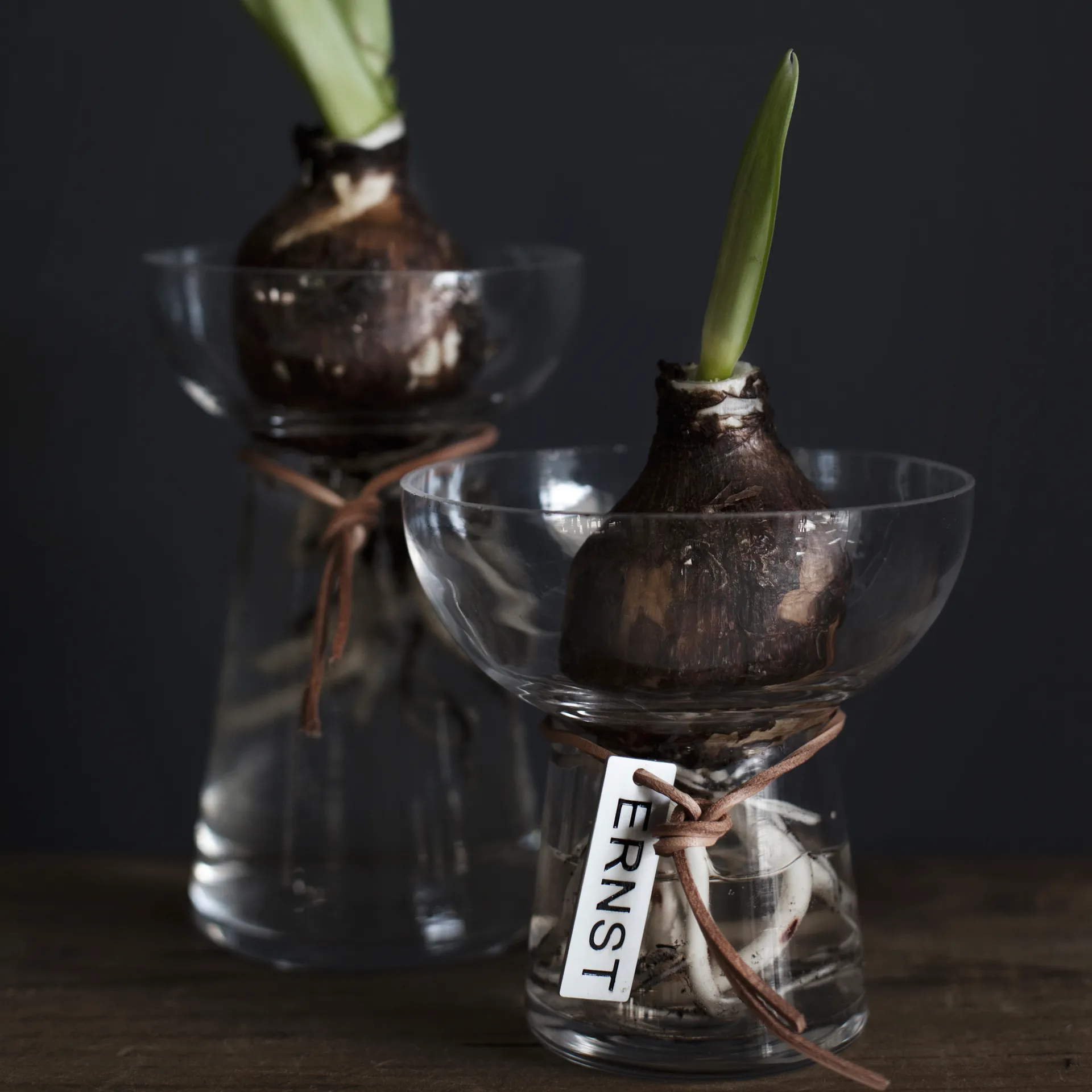 Ernst Hyacinth vase 15 cm, Clear ERNST