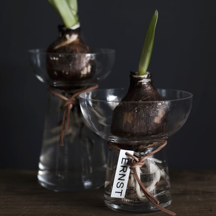 Ernst Hyacinth vase 15 cm - Clear - ERNST