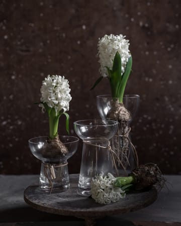 Ernst onion vase glass - 19 cm - ERNST