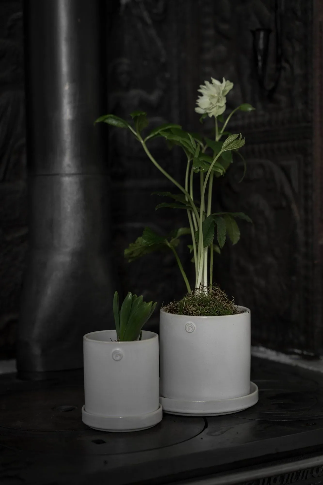 Ernst pot with saucer, White, Ø10x11 cm ERNST
