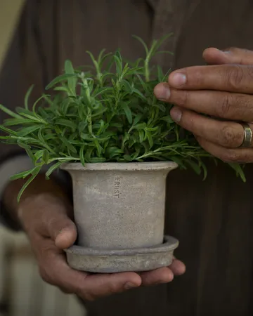Ernst terracotta pot with saucer - Ø12x10 cm - ERNST