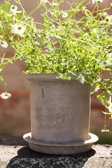 Ernst terracotta pot with saucer - Ø16x16 cm - ERNST