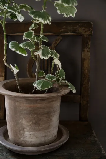 Ernst terracotta pot with saucer - Ø24x17 cm - ERNST
