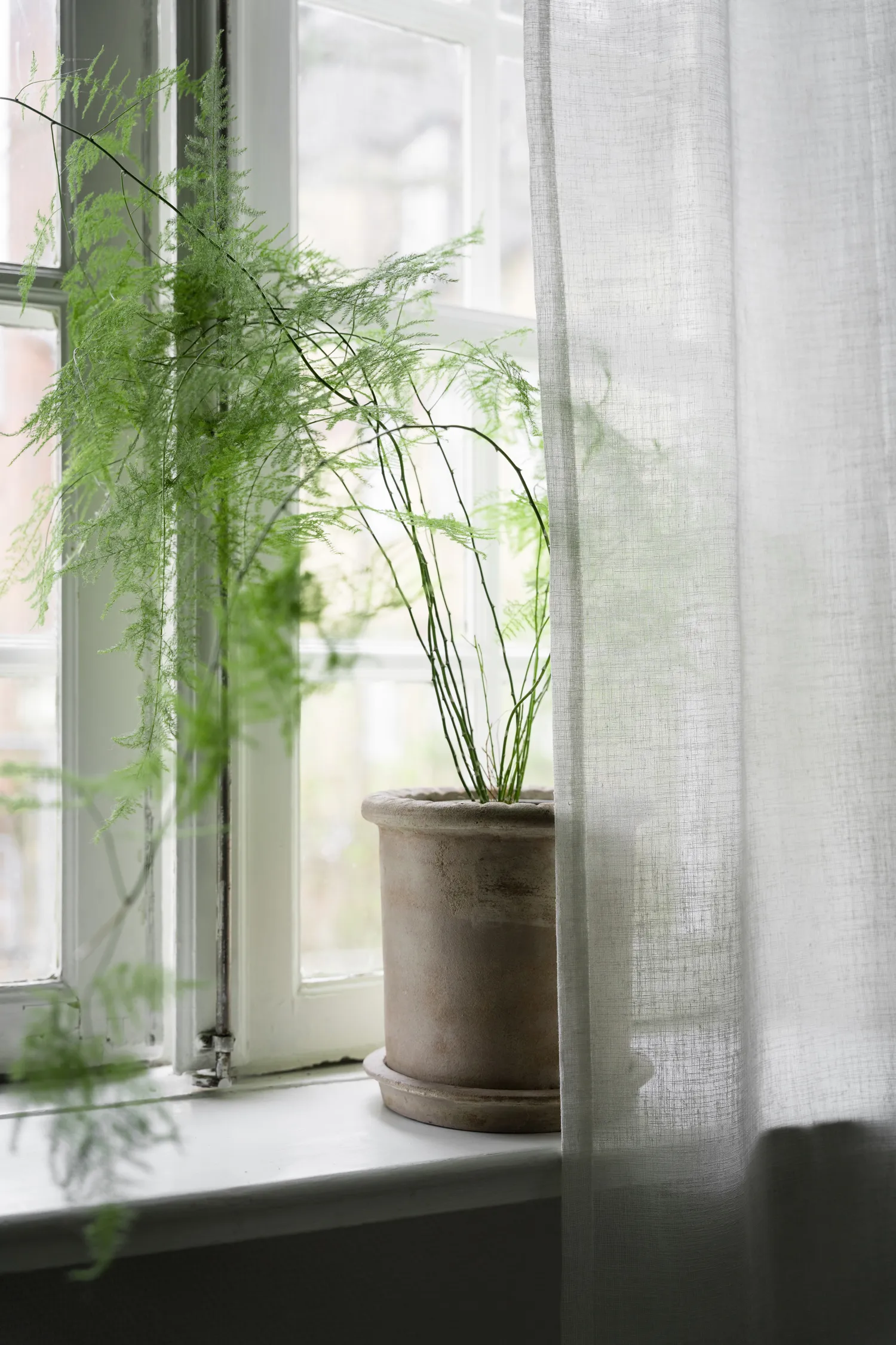 Ernst terracotta pot with saucer, Ø25x28 cm ERNST