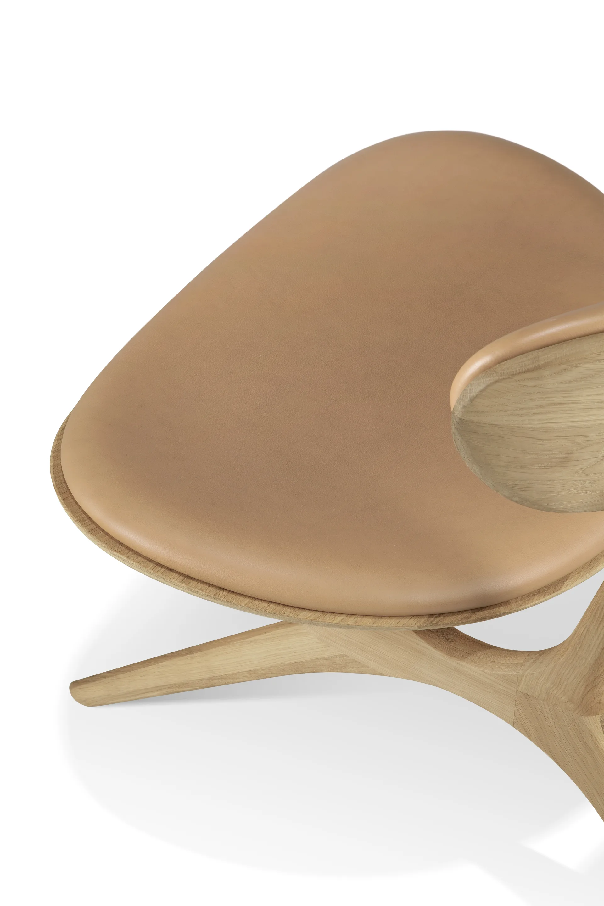 Eye lounge armchair, Lacquered oak-leather Sienna Ethnicraft