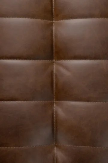 N701 sofa 2-seater - Leather Chestnut - Ethnicraft