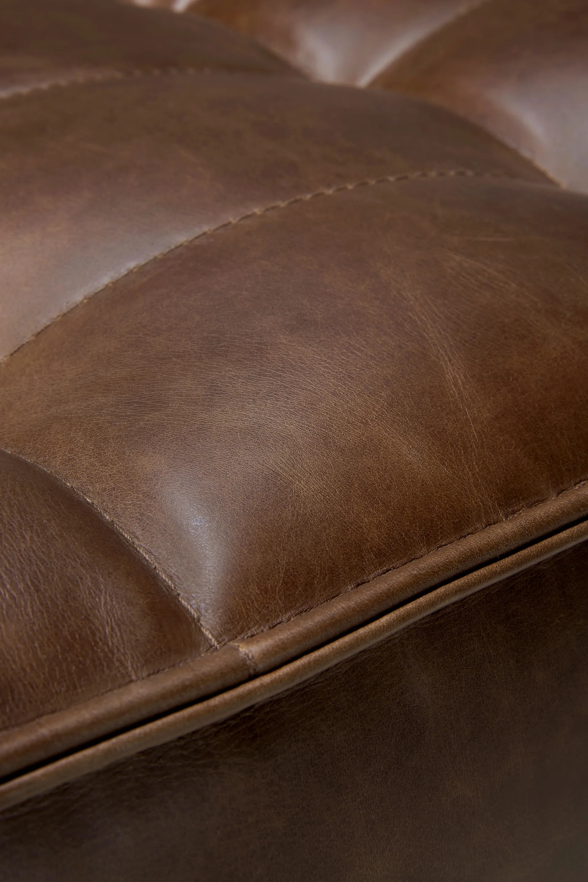 N701 sofa 2-seater, Leather Chestnut Ethnicraft