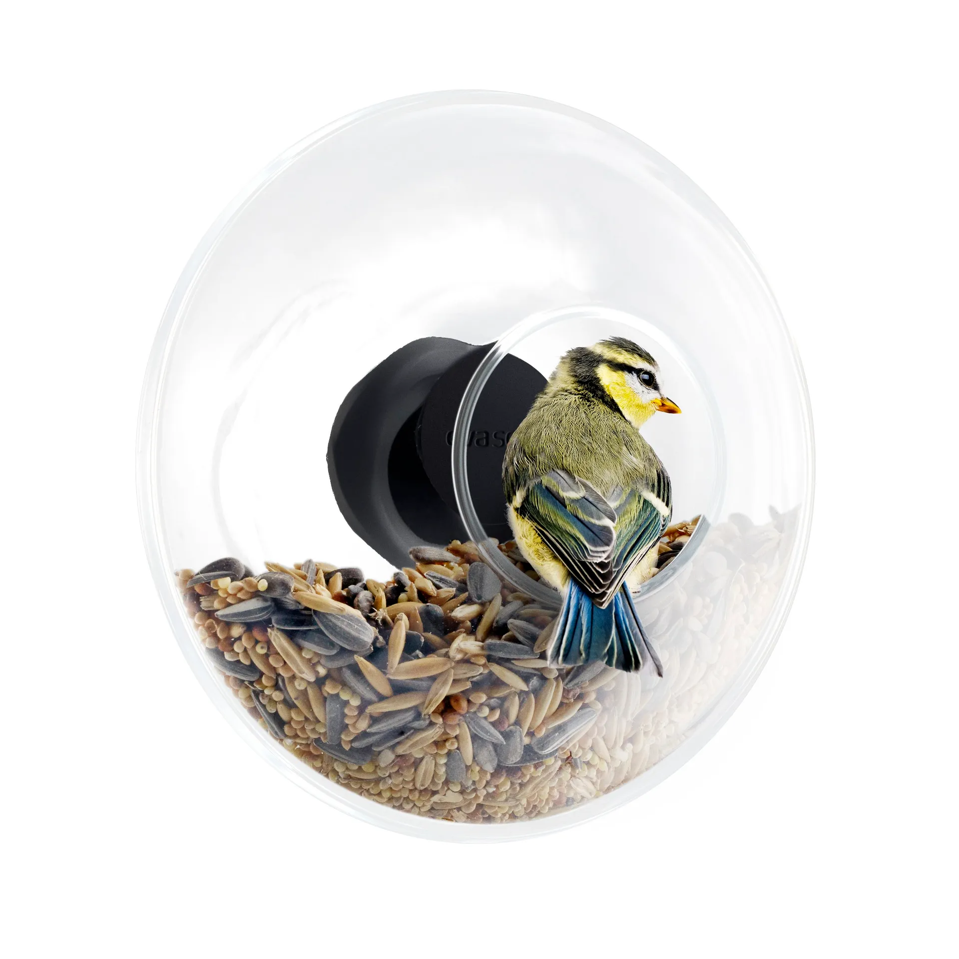 Eva Solo birdfeeder window, Ø 14.3 cm Eva Solo