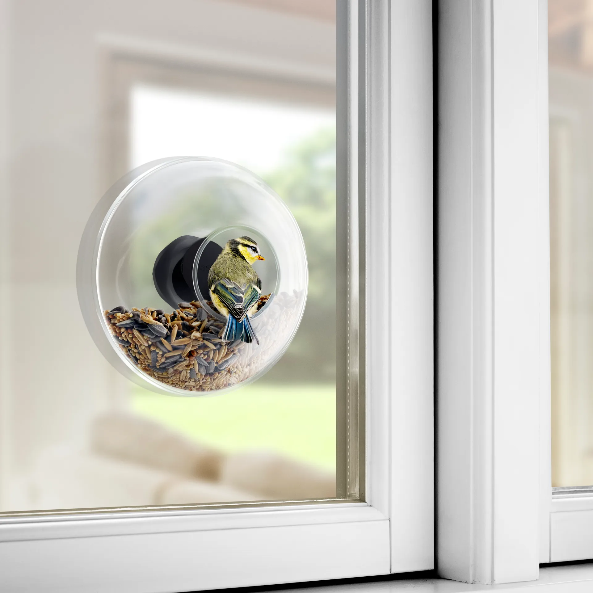 Eva Solo birdfeeder window, Ø 14.3 cm Eva Solo
