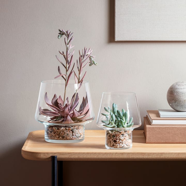Eva Solo glass vase for succulents - Ø15 cm - Eva Solo