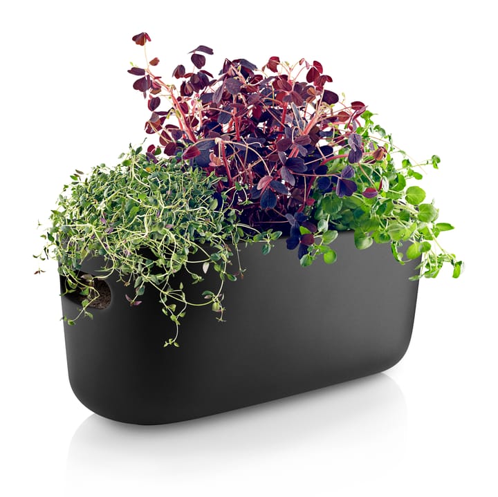 Eva Solo self-watering herb organizer - black - Eva Solo