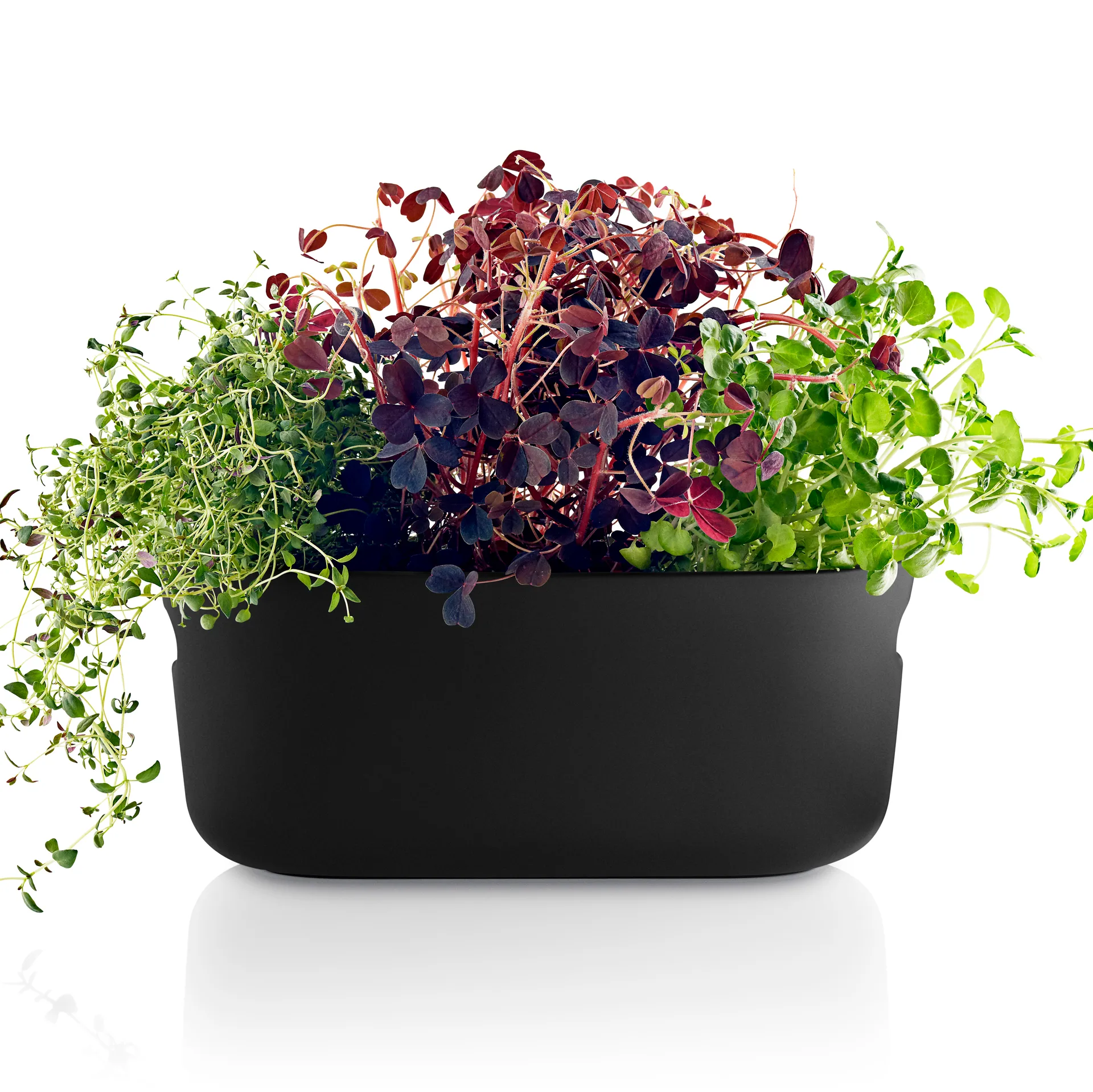 Eva Solo self-watering herb organizer, black Eva Solo