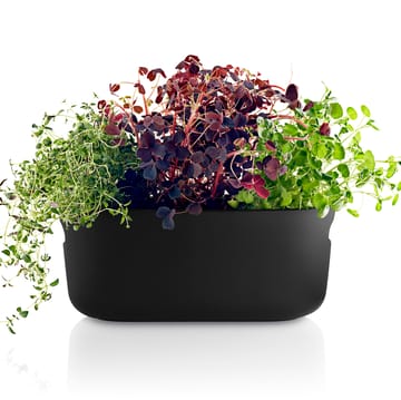 Eva Solo self-watering herb organizer - black - Eva Solo