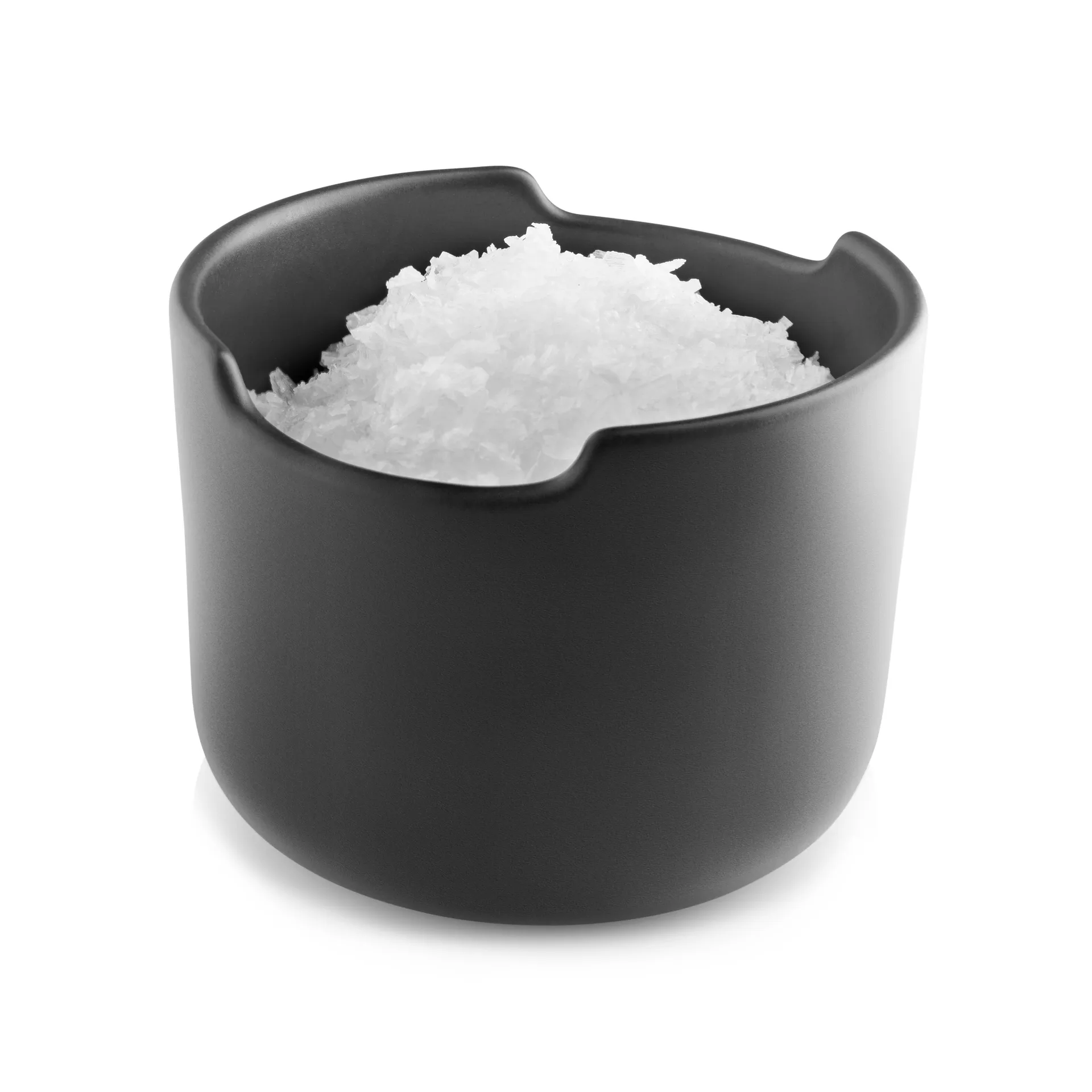 Nordic Kitchen salt jar with lid, black Eva Solo