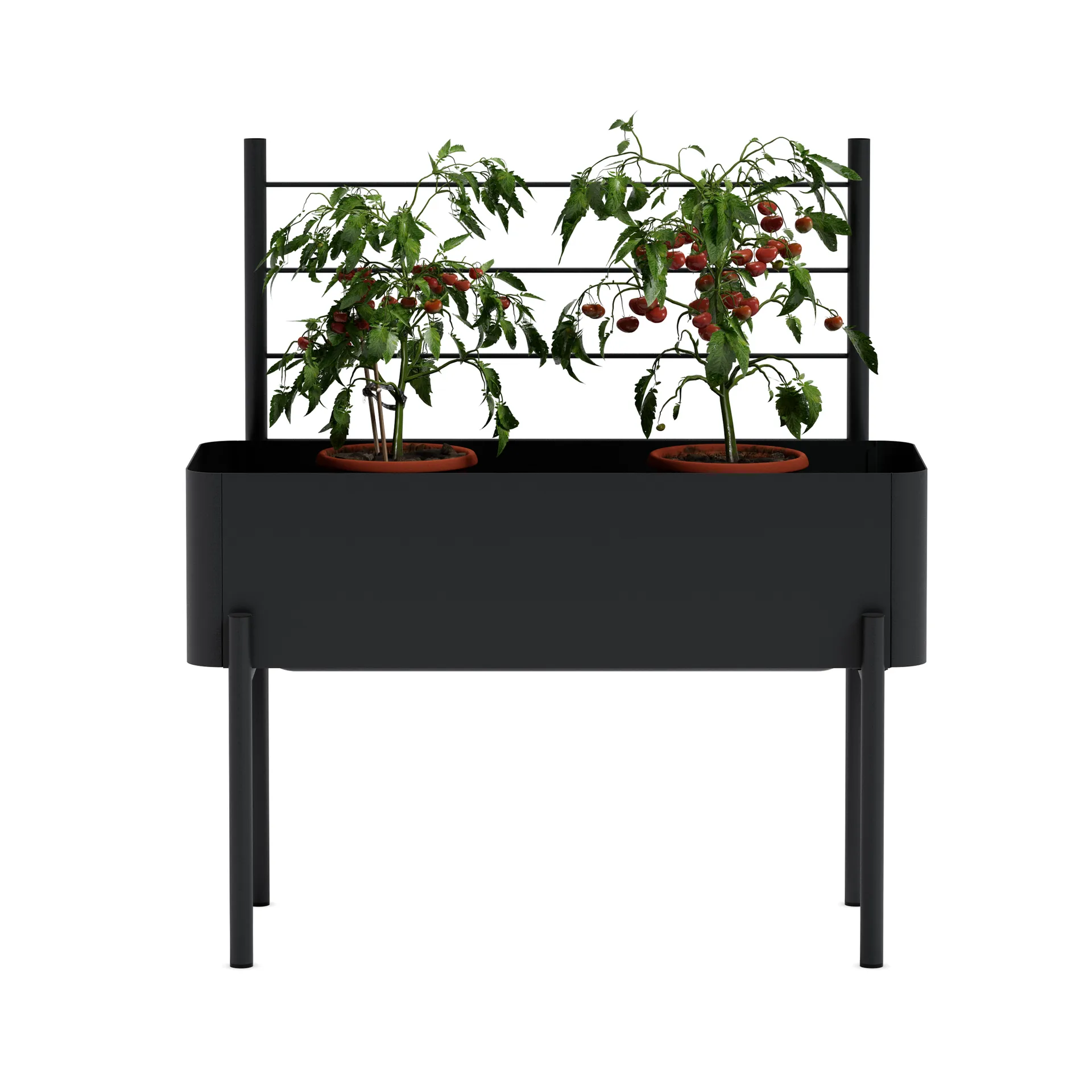 Simply Grow trellis for growing box, Black Eva Solo