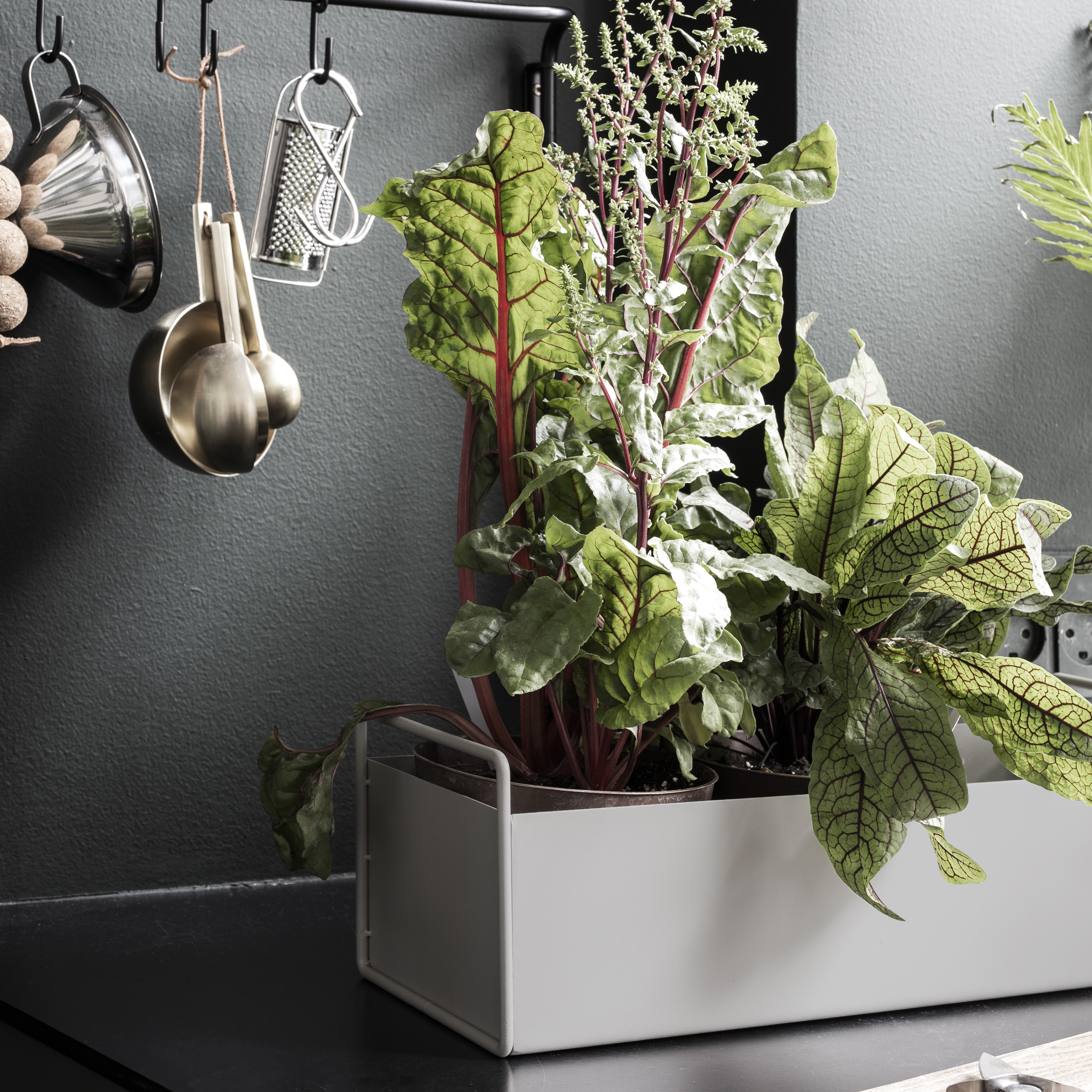ferm LIVING plant box - Scandinavian Design - NordicNest.com ferm LIVING plant box - Scandinavian Design - NordicNest.com