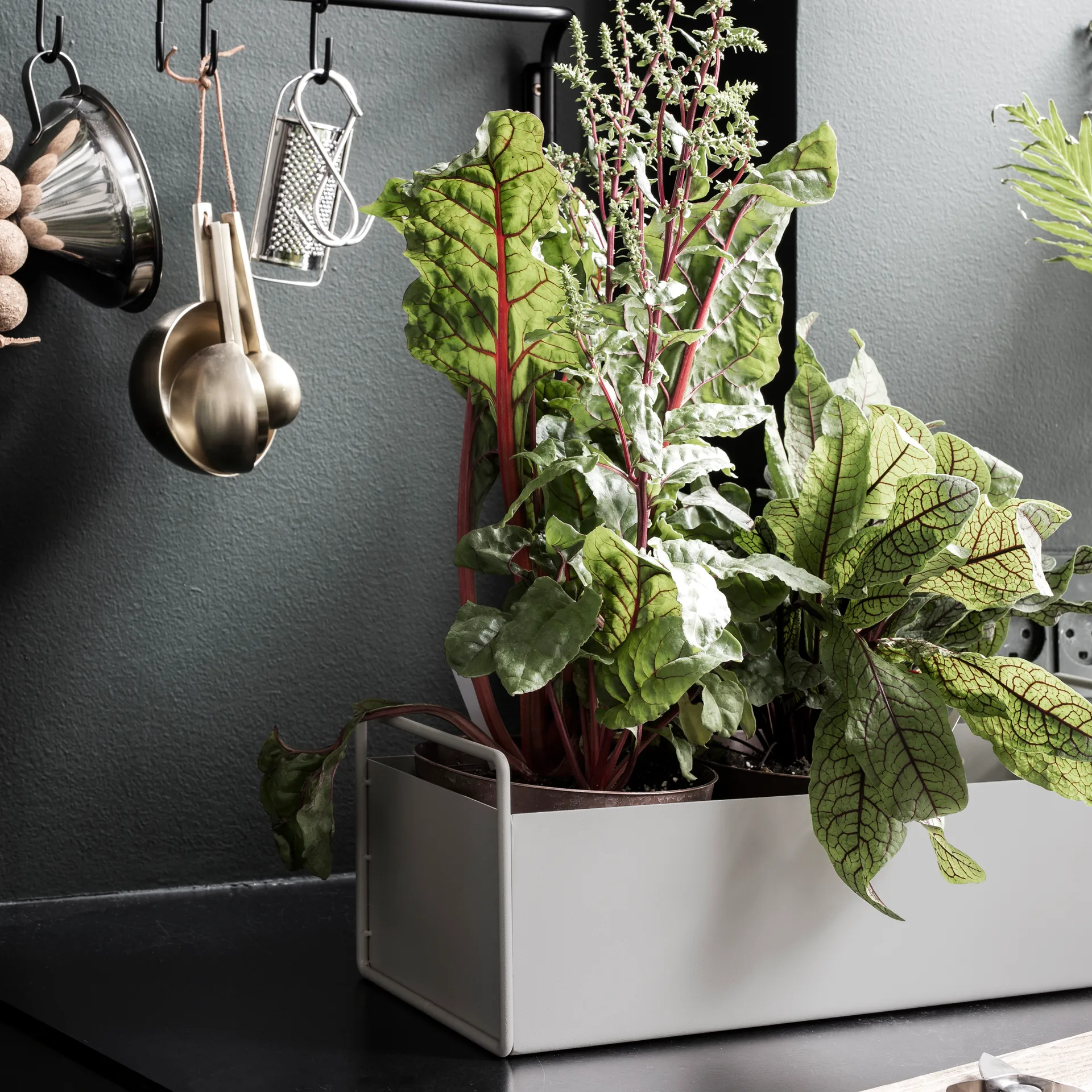 Ferm Living plant box small, light grey Ferm Living