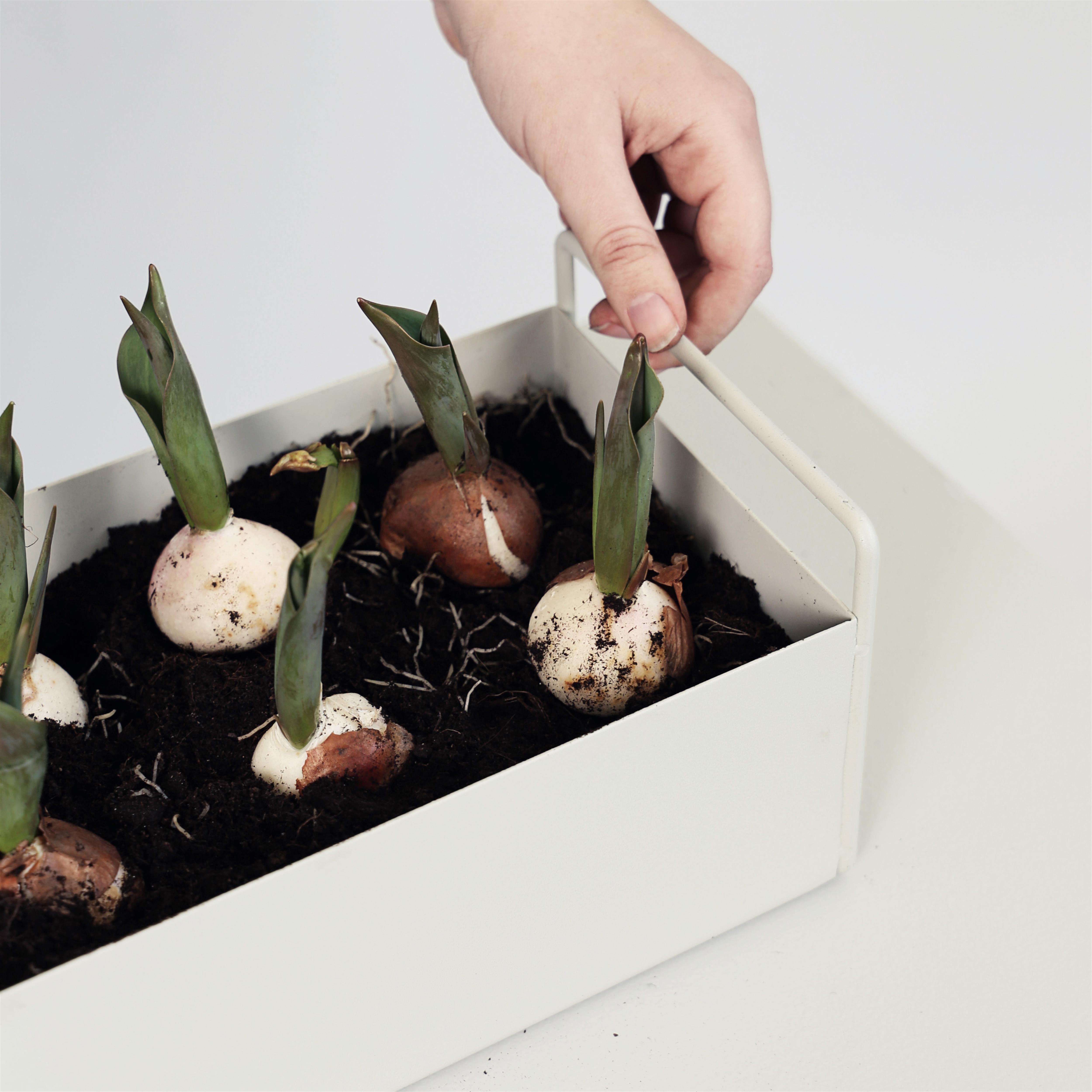 ferm LIVING plant box - Scandinavian Design - NordicNest.com ferm LIVING plant box - Scandinavian Design - NordicNest.com