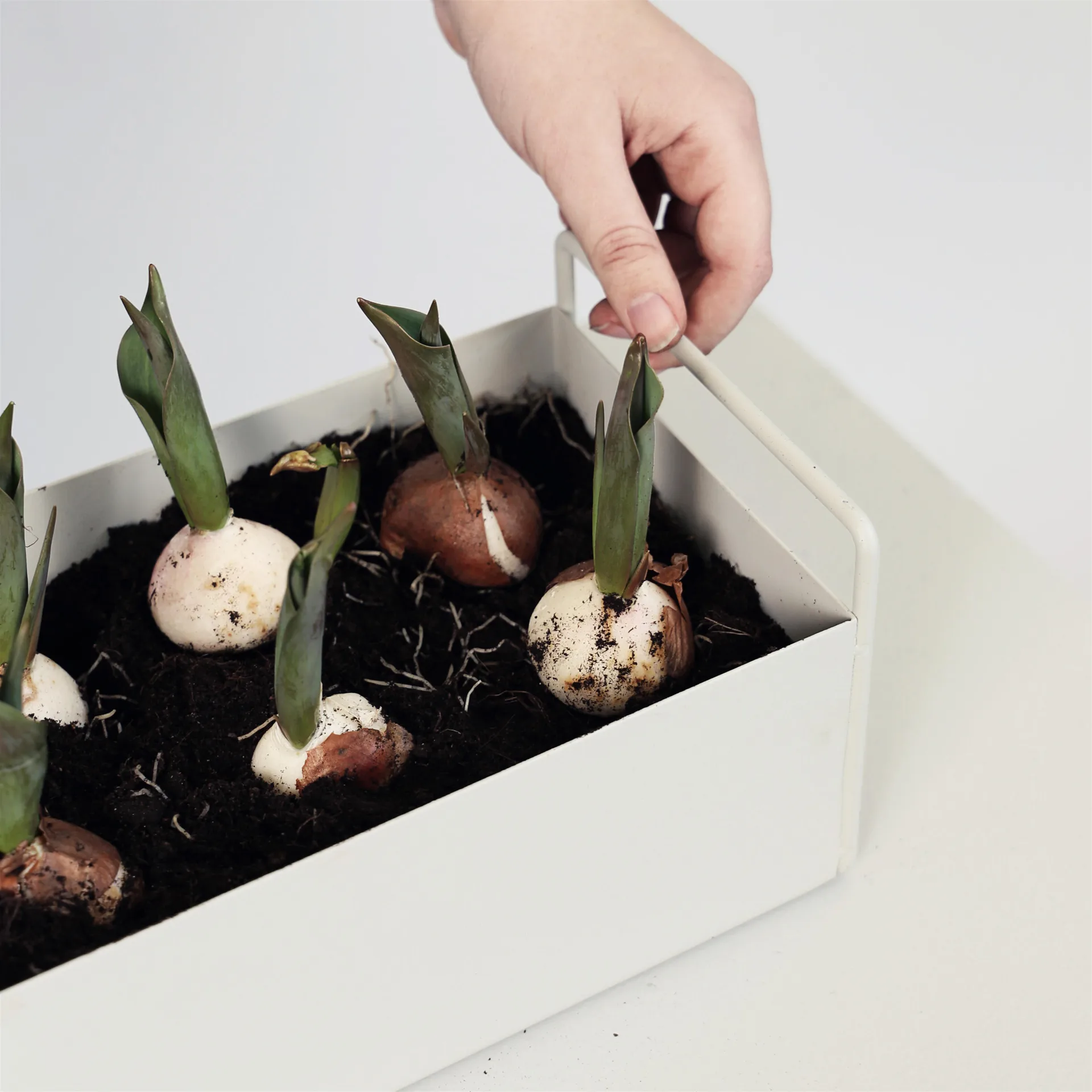 Ferm Living plant box small, light grey Ferm Living