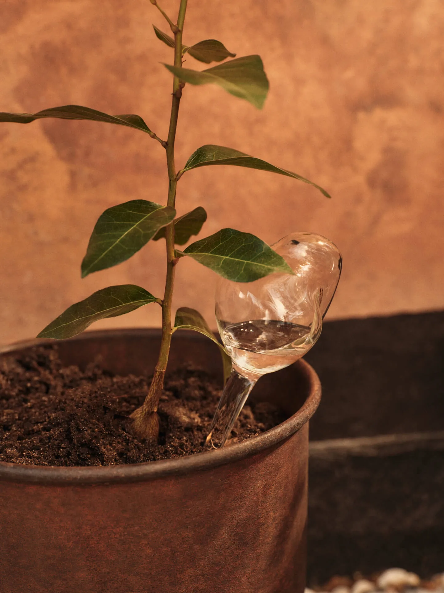 Mercury watering globe 2 parts, Clear, 12x18.5 cm Ferm Living